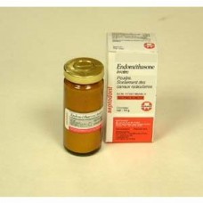 Endomethasone poudre 14g DS051 14g Septodont