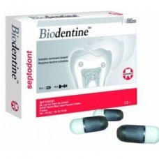 Biodentine большой набор 15 капсул Комплект поставки: Biodentine большой набор: – 15 Septodont