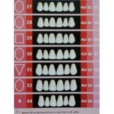 Зубы передние верх. пластм. фасон 27/34/гарнитур из 32 зубов (в коробке20 гарн.) цвет 34 - п Стома