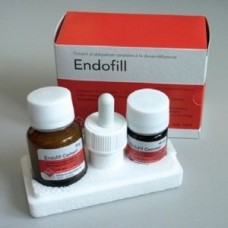Endofill (Dexamethasone)Fast 102.70Fast Endomethasone ivory материал для пломбирования канало PD