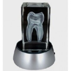 SJ-007 Зуб в хрустале (лазер бумага вес) Crystal laser tooth paper weight CHN