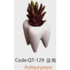 QT-129 Растение в горшке в форме зуба Potted plant CHN