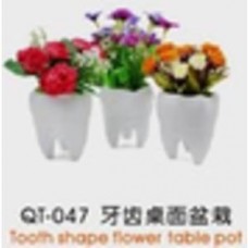 QT-047 Цветочный горшок в форме зуба Tooth shape flower table pot CHN